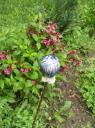 fleur-ceramique-et-weigelia.jpg