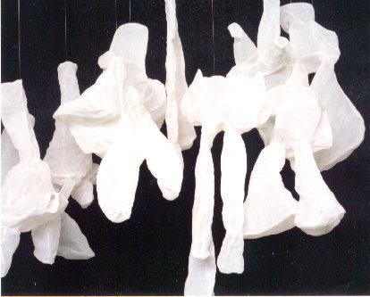 Corinne Petitpierre : installation, Estivales du Château du Pin, 2000. Corinne Petitpierre : installation, Estivales du Château du Pin, 2000.