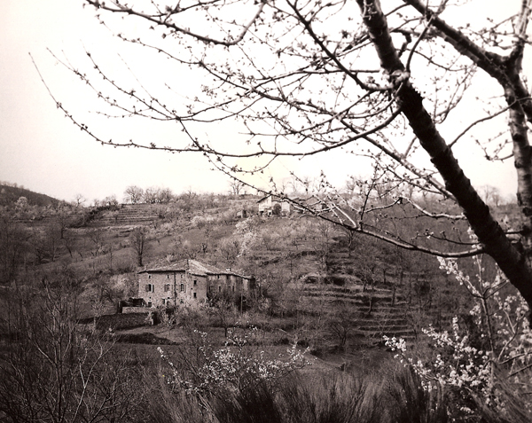 Le château du Pin en 1958, vue d’ensemble.