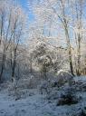 Jardins du Château du Pin sous la neige 2.