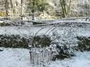 Les jardins du Château du Pin sous la neige
