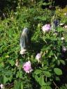Jardins du Pin - Printemps 2011