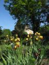 Jardins du Pin - Printemps 2011