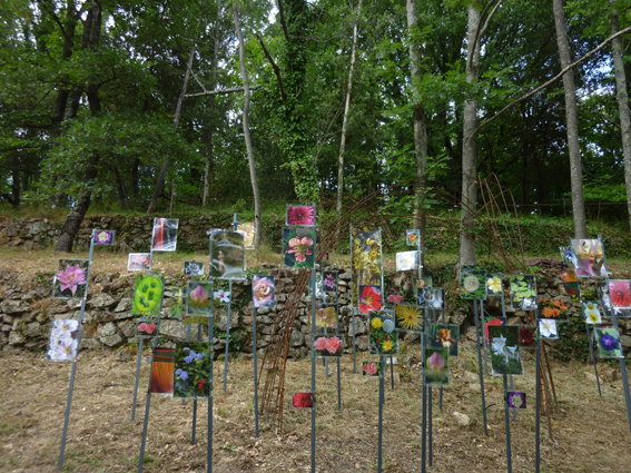 Daniel Ponsard, “Les belles invitées”, installation photographie.