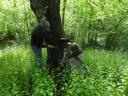 Giuseppe Penone / Château du Pin / Avril 2011.