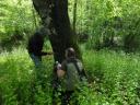 Giuseppe Penone / Château du Pin / Avril 2011.