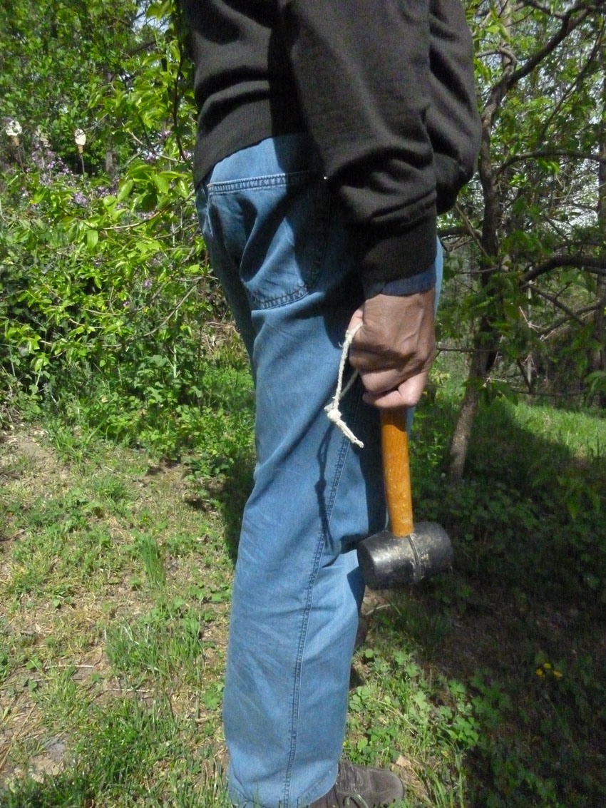 Giuseppe Penone, Château du Pin, 2012.