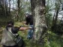 Giuseppe Penone / Château du Pin / Avril 2011.