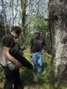 Giuseppe Penone / Château du Pin / Avril 2011.