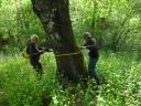 Giuseppe Penone / Château du Pin / Avril 2011.