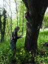 Giuseppe Penone / Château du Pin / Avril 2011.