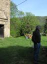 Giuseppe Penone / Château du Pin / Avril 2011.