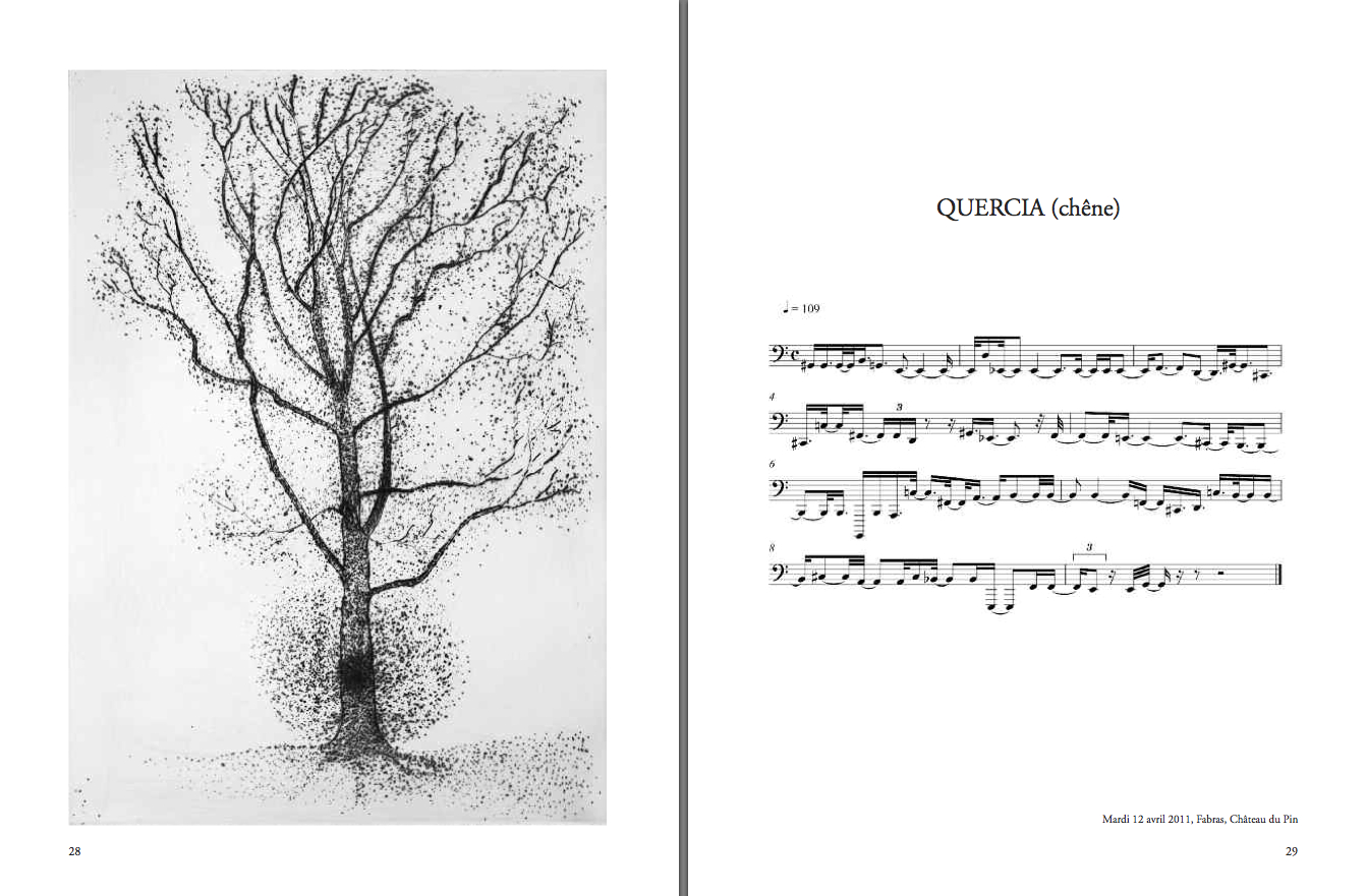 Giuseppe Penone, “Transcription musicale de la structure des arbres”, “Quercia (chêne)”, un arbre des jardins du Pin. gravure et partition, extrait du livre éponyme, éd. Bernard Chauveau. DR